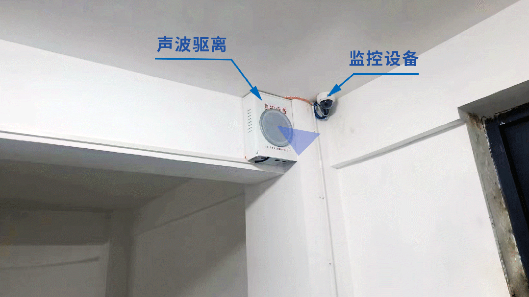 聲波驅離器